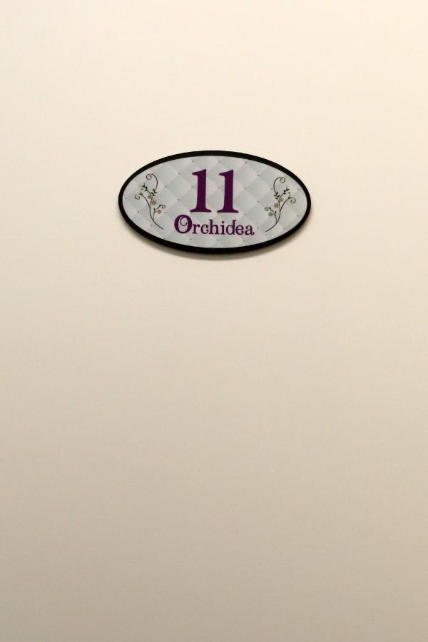 Orchidea Rooms & Suites Civitanova Marche Exterior foto